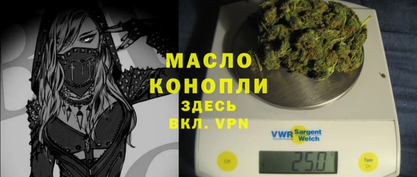 дживик Белокуриха